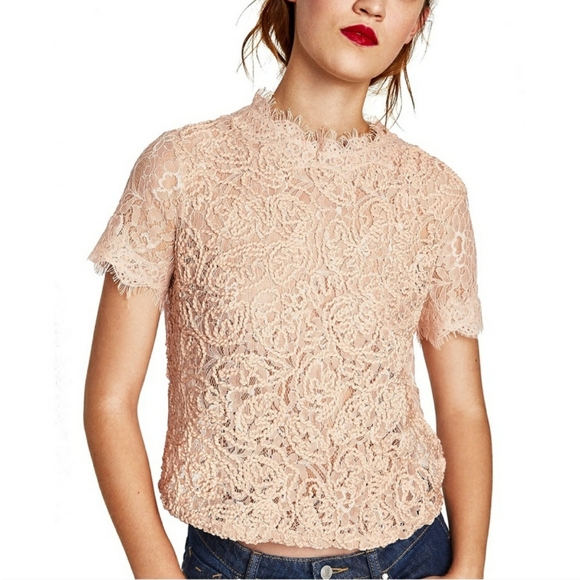 Zara Blush pink lace top - Picture 1 of 5